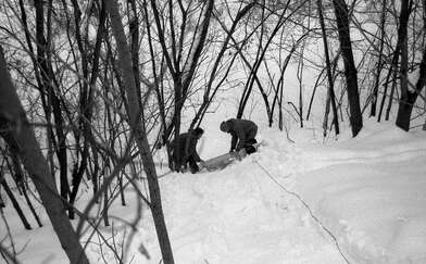 Акция КД Чемодан. Фотография - 12