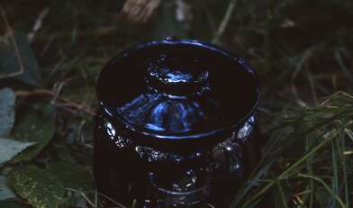 Collective action Library. Photo - 64