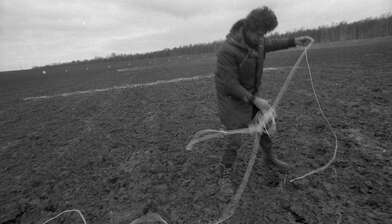 Collective action Image of a Rhombus. Photo - 17