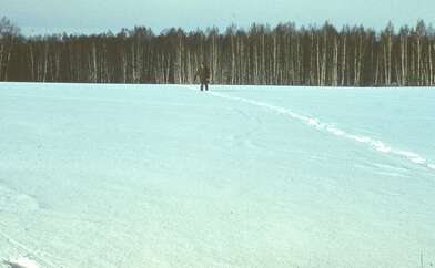 Акция КД 10 Появлений. Фотография - 51