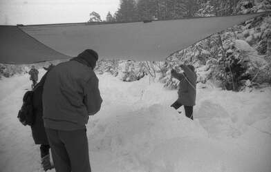 Collective action 625-520. Photo - 93