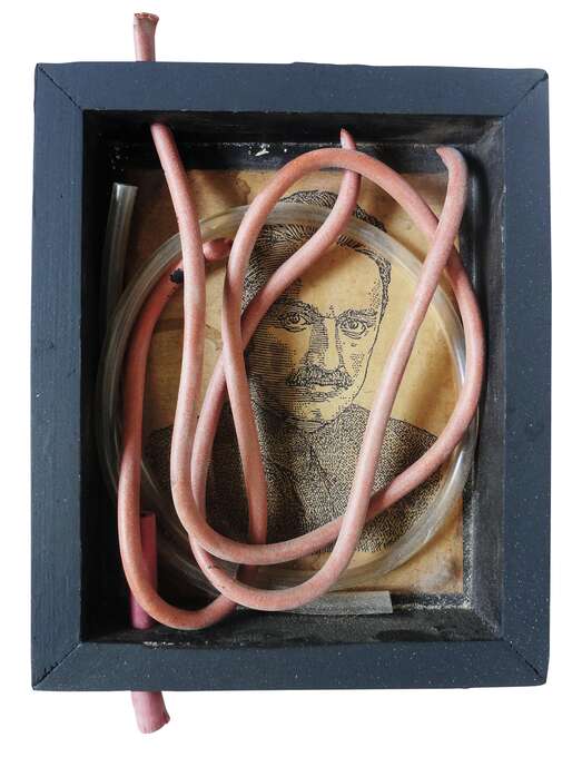 Игорь Макаревич, Елена Елагина. Матка Микоян