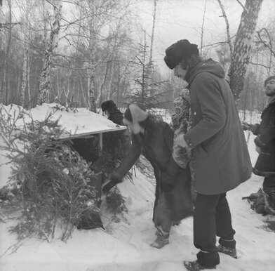 Collective action To Panitkov. Photo - 145