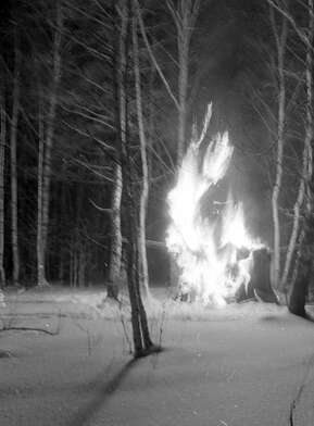 Collective action To Panitkov. Photo - 96