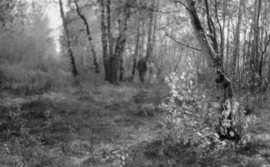 Акция КД М. Фотография - 56