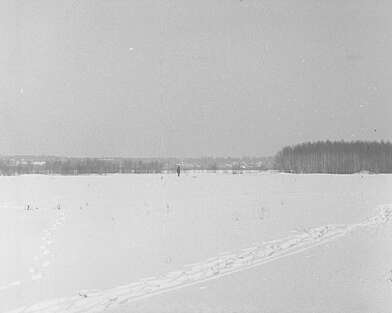 Collective action Observing the Waterfall. Photo - 33
