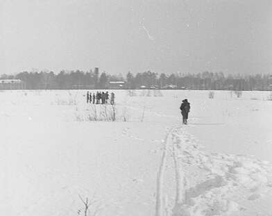 Collective action Observing the Waterfall. Photo - 38