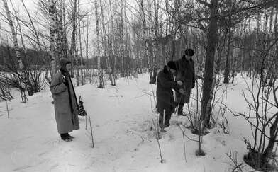 Акция КД За КД — 2. Фотография - 19