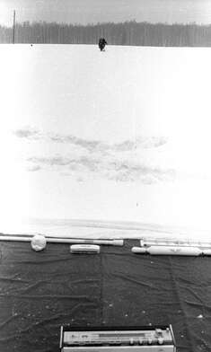 Collective action Russian World. Photo - 61