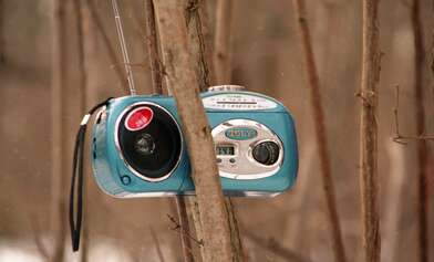 Collective action 83. Photo - 47