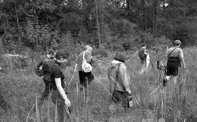 Collective action The Sack. Photo - 72