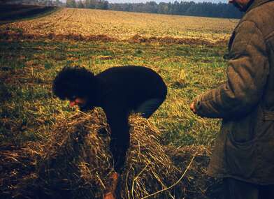 Акция КД М. Фотография - 2