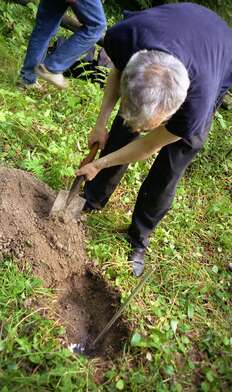 Collective action Library. Photo - 50