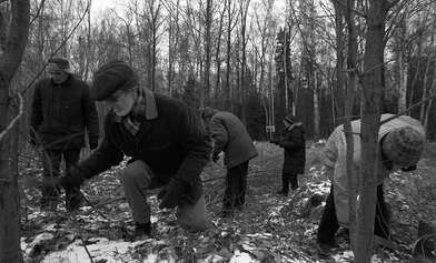 Collective action On the Clearing. Photo - 35