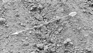 Акция КД Выстрел. Фотография - 53