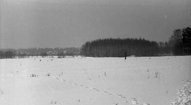 Collective action Observing the Waterfall. Photo - 20