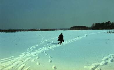 Collective action Observing the Waterfall. Photo - 64