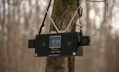 Collective action 83. Photo - 48