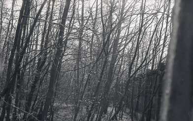 Акция КД Встреча. Фотография - 18