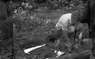 Collective action Library. Photo - 100