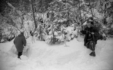 Collective action 625-520. Photo - 81