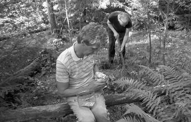 Collective action Library. Photo - 102