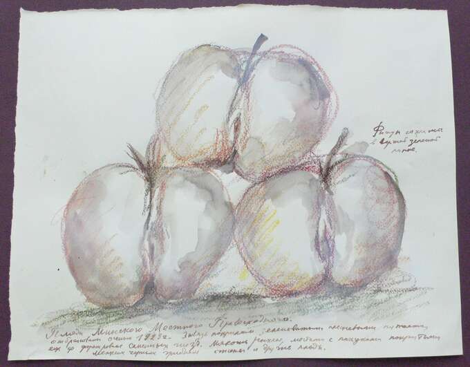 Игорь Макаревич. Девушки Мичурина