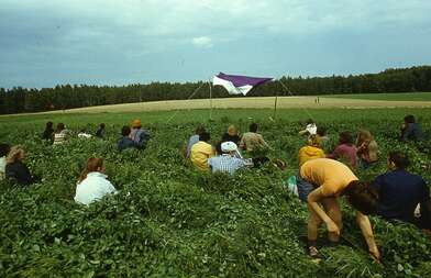 Акция КД Выстрел. Фотография - 6