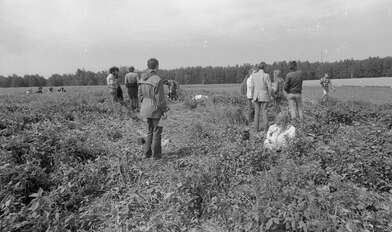 Акция КД Выстрел. Фотография - 43