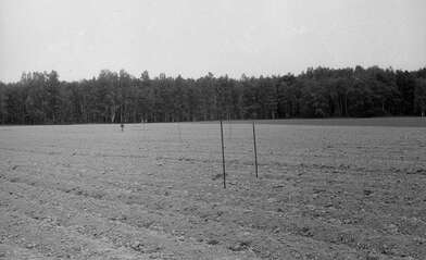 Акция КД Выстрел. Фотография - 54