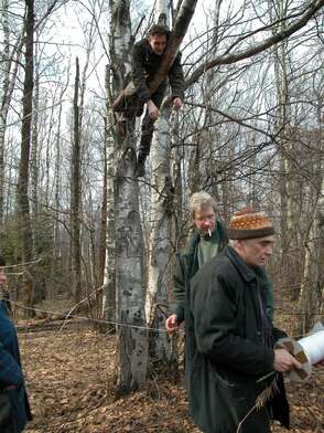 Collective action 14:07-15:13 (Watches). Photo - 51