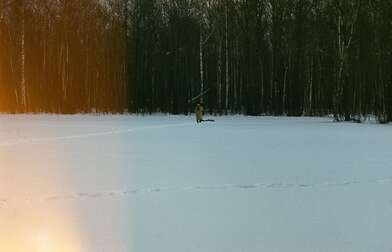 Collective action Description of Action. Photo - 34