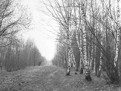 Акция КД Встреча. Фотография - 14