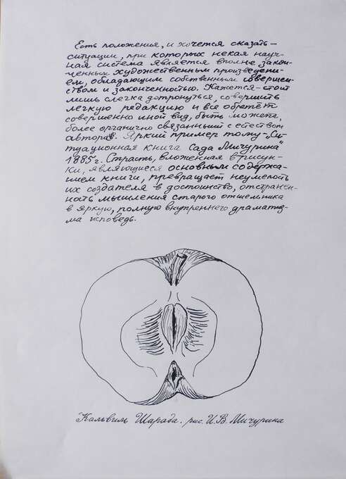 Игорь Макаревич. Девушки Мичурина