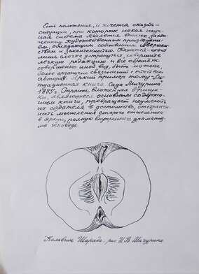 Igor Makarevich. Artwork Michurin&#039;s Girls