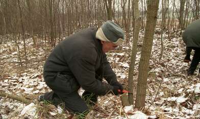 Collective action On the Clearing. Photo - 9