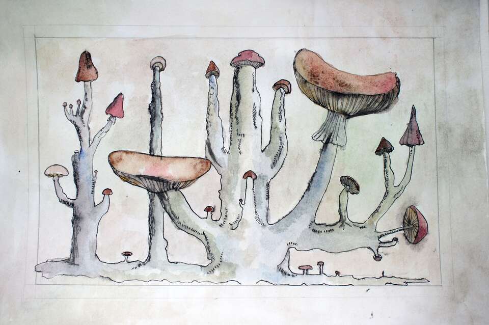 Elena Elagina. Artwork Mushrooms