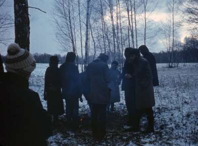 Акция КД Ворот. Фотография - 6