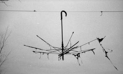 Collective action On the Clearing. Photo - 60