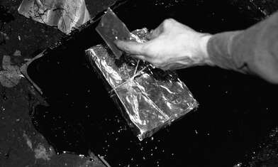 Collective action Library. Photo - 81