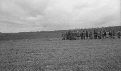 Collective action Image of a Rhombus. Photo - 7