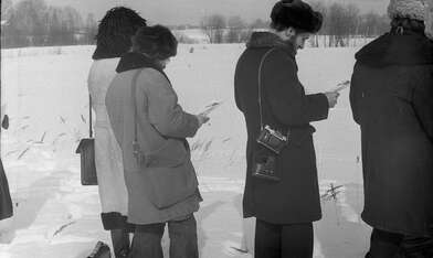 Collective action Observing the Waterfall. Photo - 47