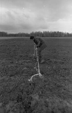 Collective action Image of a Rhombus. Photo - 15