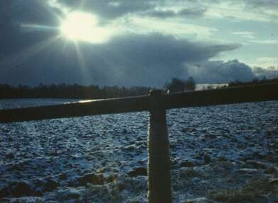 Акция КД Ворот. Фотография - 35