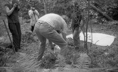 Collective action Library. Photo - 113