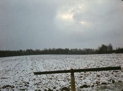 Акция КД Ворот. Фотография - 38