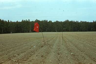 Акция КД Выстрел. Фотография - 29