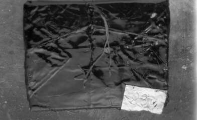 Collective action Library. Photo - 97