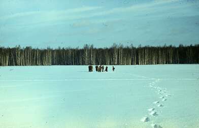 Акция КД 10 Появлений. Фотография - 14