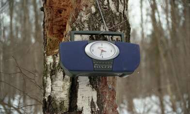 Collective action 83. Photo - 51